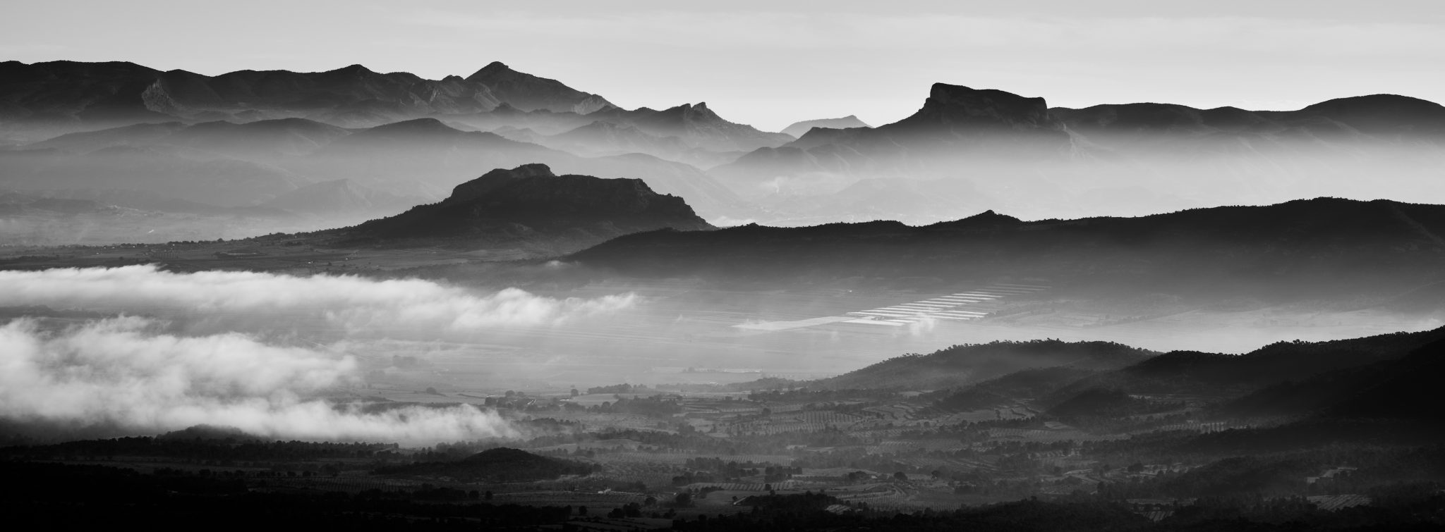 Sky Line © 2020 franMoreno