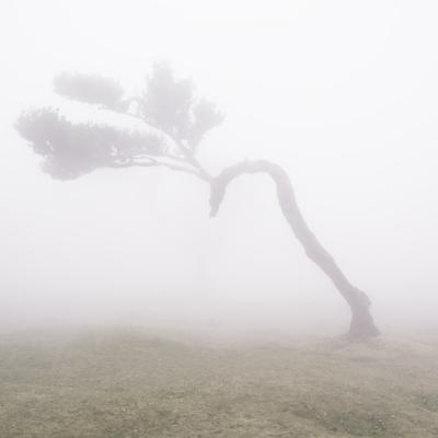 Fanal II © 2025 franMoreno