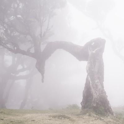 Fanal IV © 2025 franMoreno