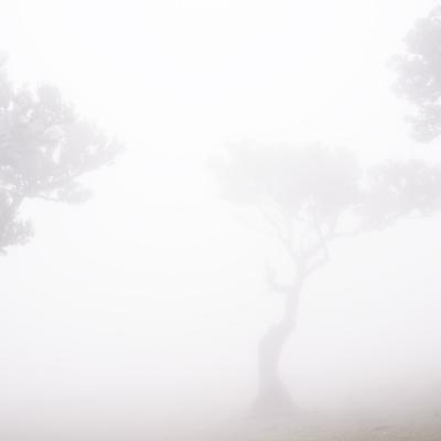 Fanal VI © 2025 franMoreno